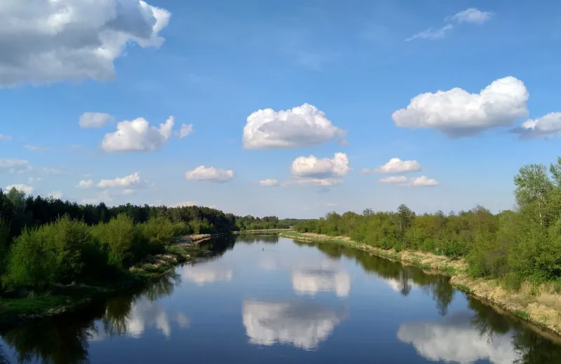 Rzeka Narew w słoneczny dzień